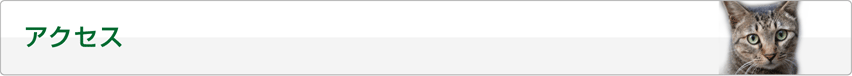 アクセス