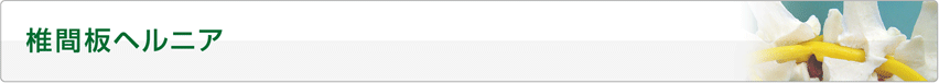 椎間板ヘルニア