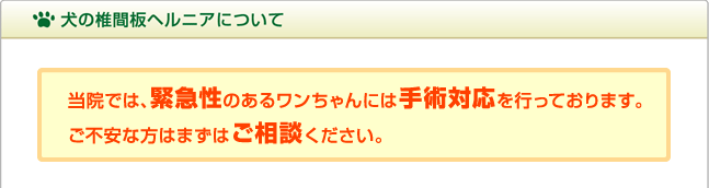 犬の椎間板ヘルニアについて：当院では、緊急性のあるワンちゃんには手術対応させていただいております。ご不安な方はまずはご相談ください。