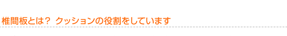 椎間板とは？ クッションの役割をしています