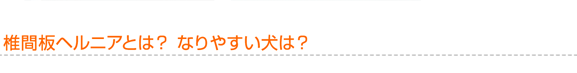 椎間板ヘルニアとは？ なりやすい犬は？