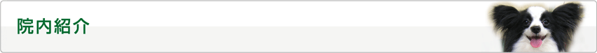 院内紹介