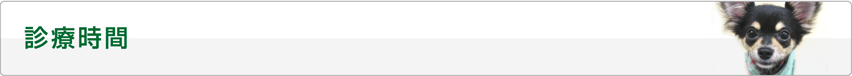 診療時間